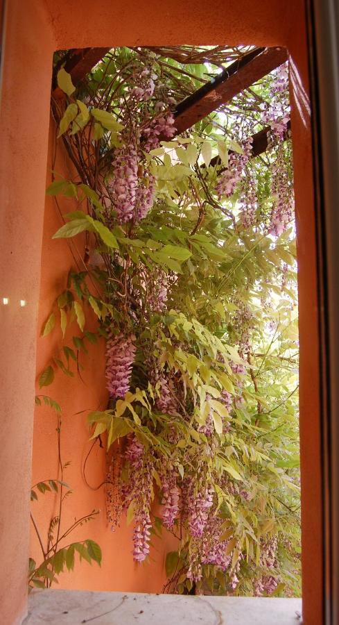 Casa Satta 1925 Hotel Olbia Luaran gambar