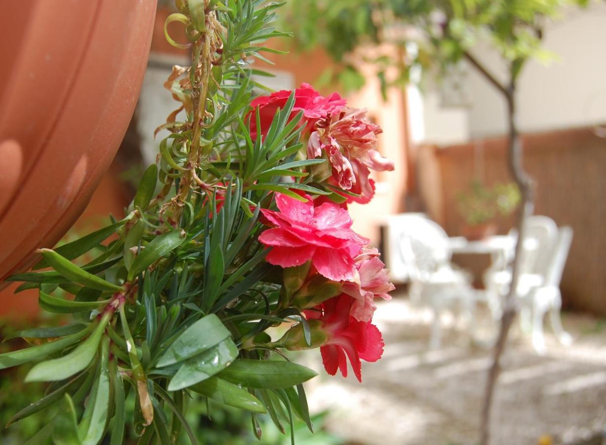 Casa Satta 1925 Hotel Olbia Luaran gambar